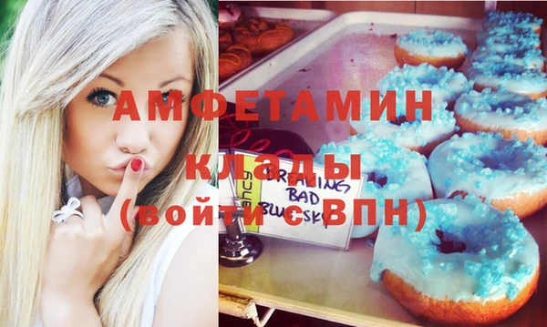 МДПВ Михайлов