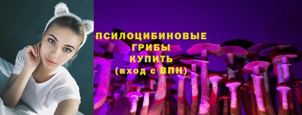 МДПВ Михайлов