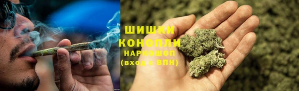 МДПВ Михайлов