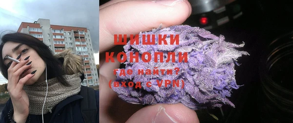 МДПВ Михайлов