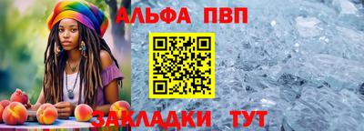 шишки Камышлов