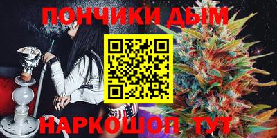 сатива Кандалакша