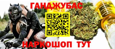 сатива Кандалакша