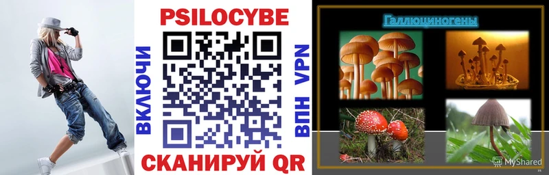 MEGA сайт  как найти закладки  Южно-Сахалинск  Галлюциногенные грибы Cubensis 