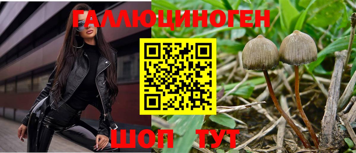 Галлюциногенные грибы мицелий Южно-Сахалинск