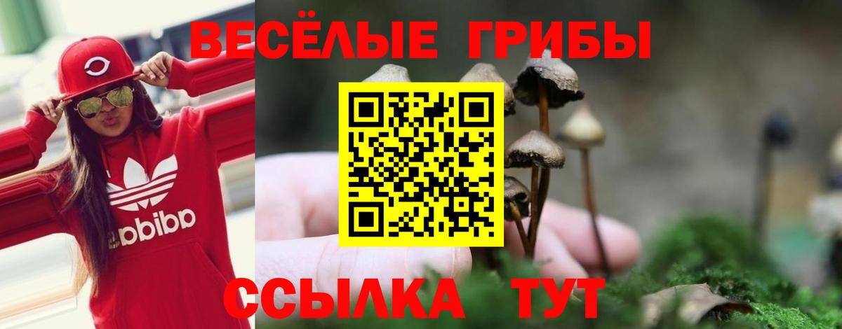 Псилоцибиновые грибы GOLDEN TEACHER  Вход с VPN  Южно-Сахалинск 